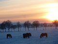 Winter1011 (49)